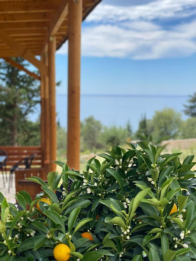 Summer Wine Boutique Hotel Дхерми Экстерьер фото